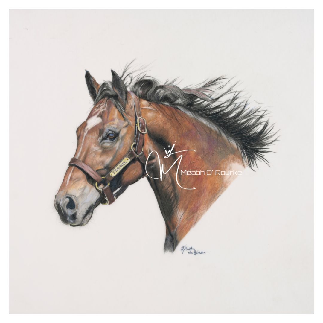 'Frankel' Fine Art Giclée Print